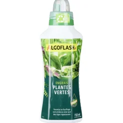 Engrais liquide pour plante verte 750 ml < Gifi Hot