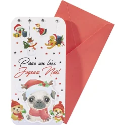Enveloppe cadeau porte-billets (10 modèles)