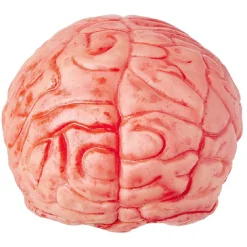 Faux cerveau sanglant en plastique