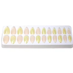 Faux ongles x24 adhésifs < Gifi Online