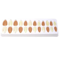 Faux ongles x24 adhésifs < Gifi Online