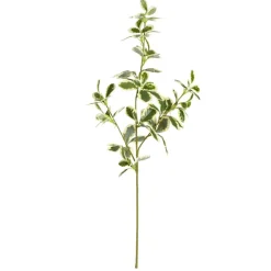 Feuillage artificiel banyan 1 tiges 3 branches - 3 modèles < Gifi Clearance