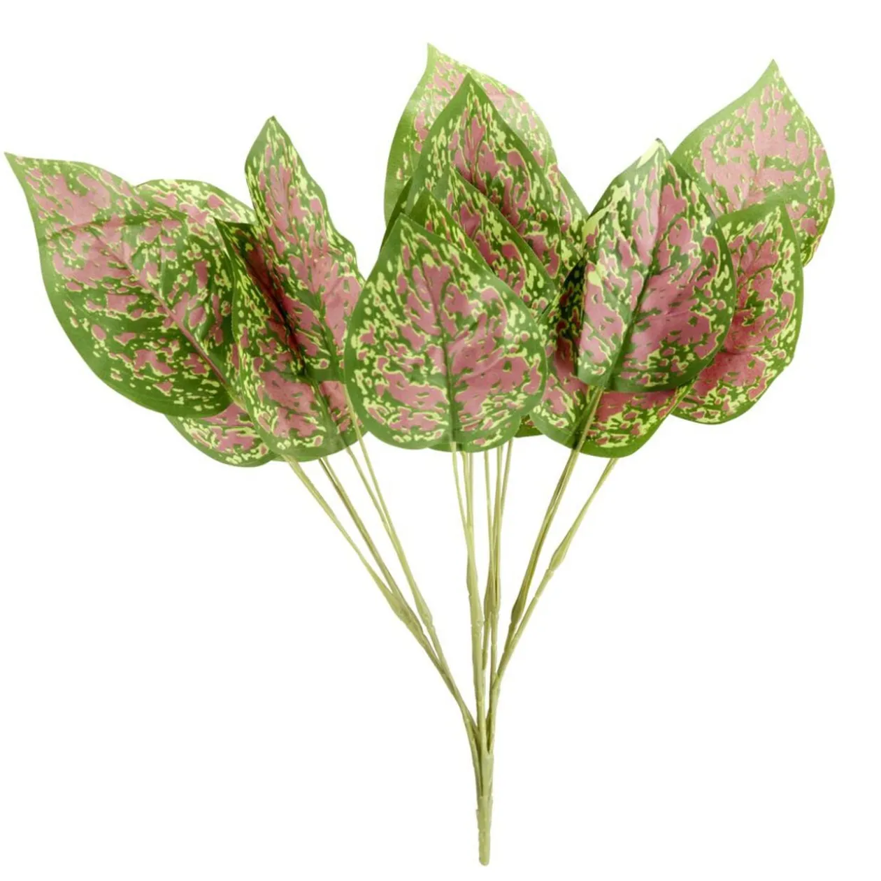 Feuillage artificiel calathea vert et rose en piquet Ø23xH45cm