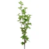 Feuillage artificiel vert 1 tige 30 feuilles L86cm < Gifi Hot