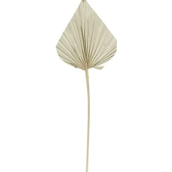 Feuille séchée