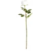 Fleur artificielle pivoine blanche H70cm < Gifi New