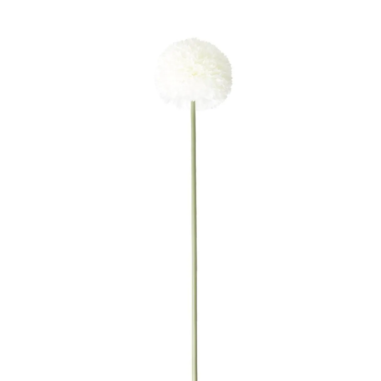 Fleur artificielle 1 tige allium blanc H72cm < Gifi Sale