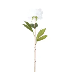 Fleur artificielle 1 tige pivoine blanche H66cm < Gifi Discount