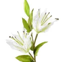 Fleur artificielle XL lys blanc H115cm < Gifi Hot