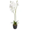 Fleurs artificielles en pot orchidée blanche Ø11xH50cm < Gifi