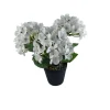 Fleurs artificielles hortensia blanc pot plastique noir Ø9,5xH27cm < Gifi Sale