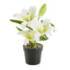 Fleurs artificielles lys blancs pot plastique noir Ø11xH38cm
