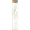 Fleurs séchées dans tube Ø3xH17cm (4 modèles)
