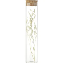 Fleurs séchées dans tube Ø3xH17cm (4 modèles)