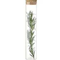 Fleurs séchées dans tube Ø3xH17cm (4 modèles)