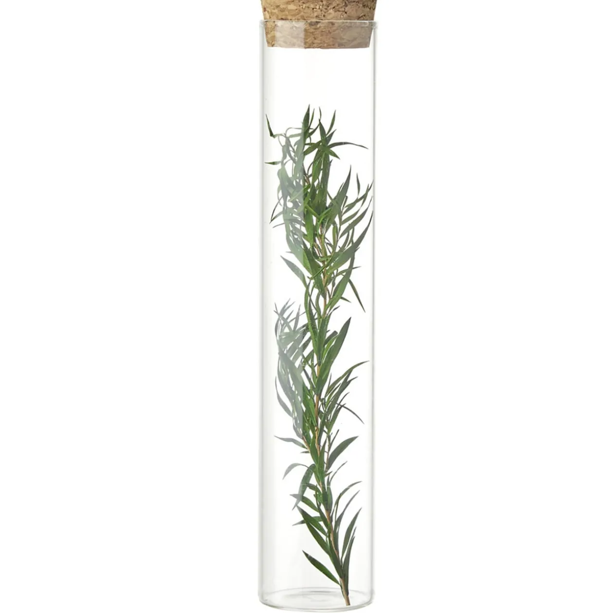 Fleurs séchées dans tube Ø3xH17cm (4 modèles)