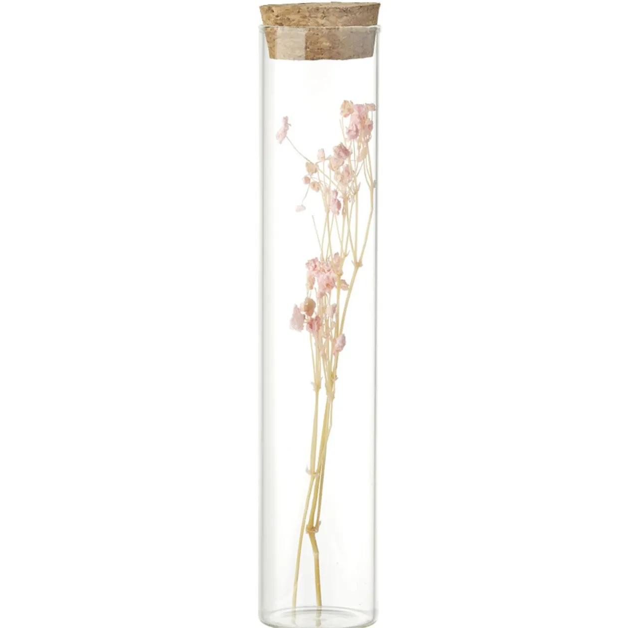 Fleurs séchées dans tube Ø3xH17cm (4 modèles)