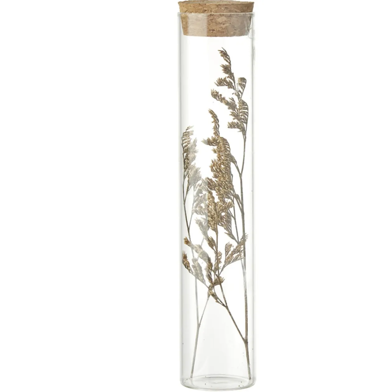 Fleurs séchées dans tube Ø3xH17cm (4 modèles)