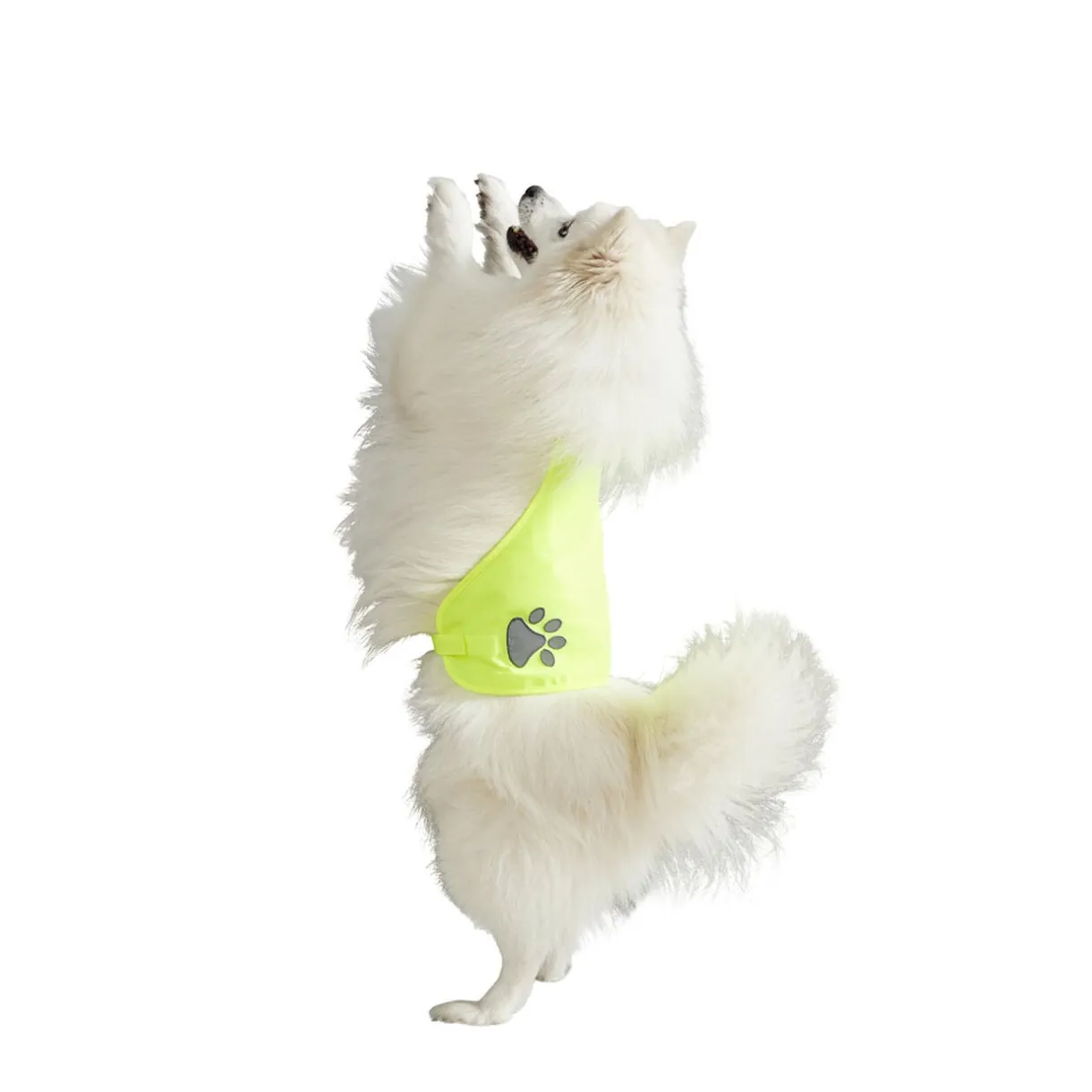 Gilet de sécurité pour chien réfléchissant Taille M < Gifi New