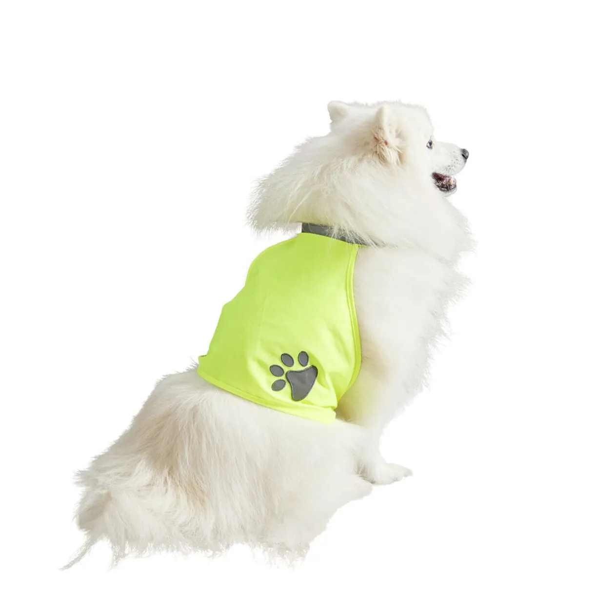 Gilet de sécurité pour chien réfléchissant Taille M < Gifi New