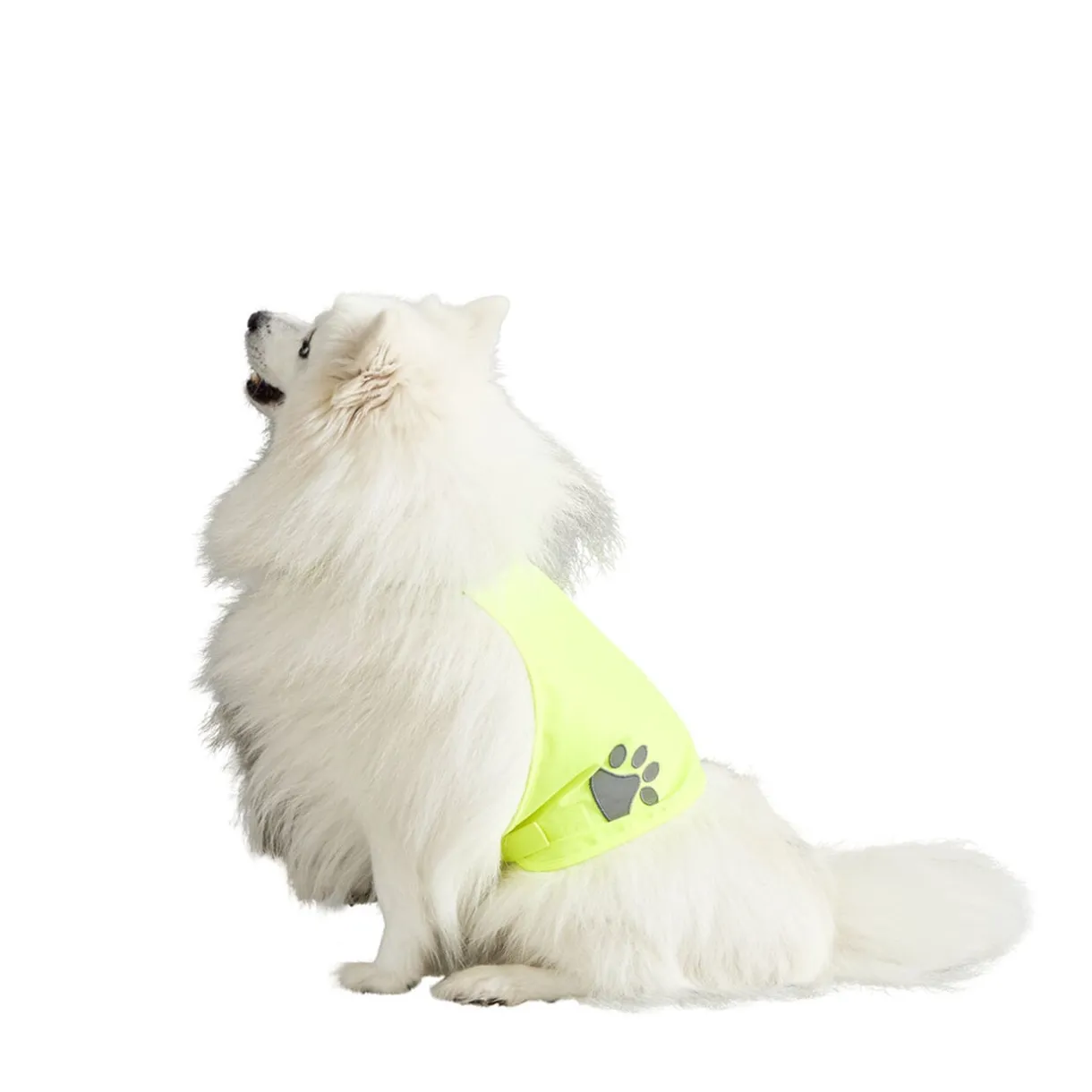 Gilet de sécurité pour chien réfléchissant Taille M < Gifi New