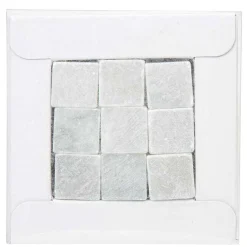 Glaçon réutilisable x9