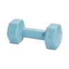 Haltère de sport bleu 1kg < Gifi Clearance