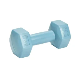 Haltère de sport bleu 1kg < Gifi Clearance