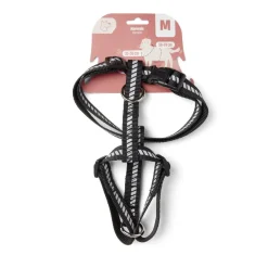 Harnais pour chien moyen - Taille M < Gifi Clearance