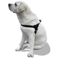 Harnais pour chien taille S 43-56cm < Gifi Outlet
