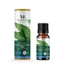 Huile essentielle eucalyptus radié bio Mességué 10ml < Gifi Outlet