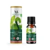 Huile essentielle eucalyptus citronné bio Mességué 10ml