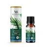 Huile essentielle tea tree bio Mességué 10ml < Gifi Sale