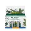 Huile essentielle x3 kit respire Mességué eucalyptus ravintsara sapin 3x5ml