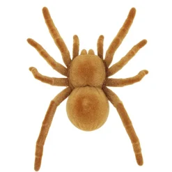 Insecte animé farce et attrape L10cm (3 modèles) < Gifi Online