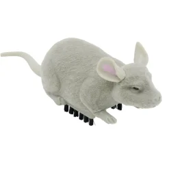 Insecte animé farce et attrape L10cm (3 modèles) < Gifi Online