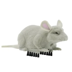 Insecte animé farce et attrape L10cm (3 modèles) < Gifi Online