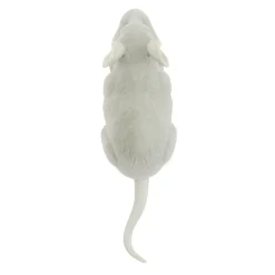 Insecte animé farce et attrape L10cm (3 modèles) < Gifi Online