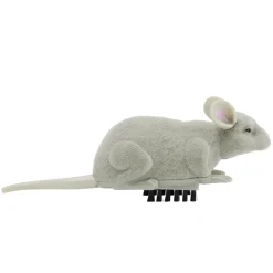 Insecte animé farce et attrape L10cm (3 modèles) < Gifi Online