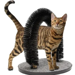 Jouet brosse pour chat avec support 3 en 1 < Gifi New