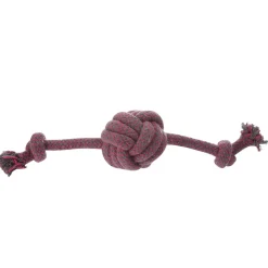 Jouet pour chien corde gros noeud coloré < Gifi Outlet