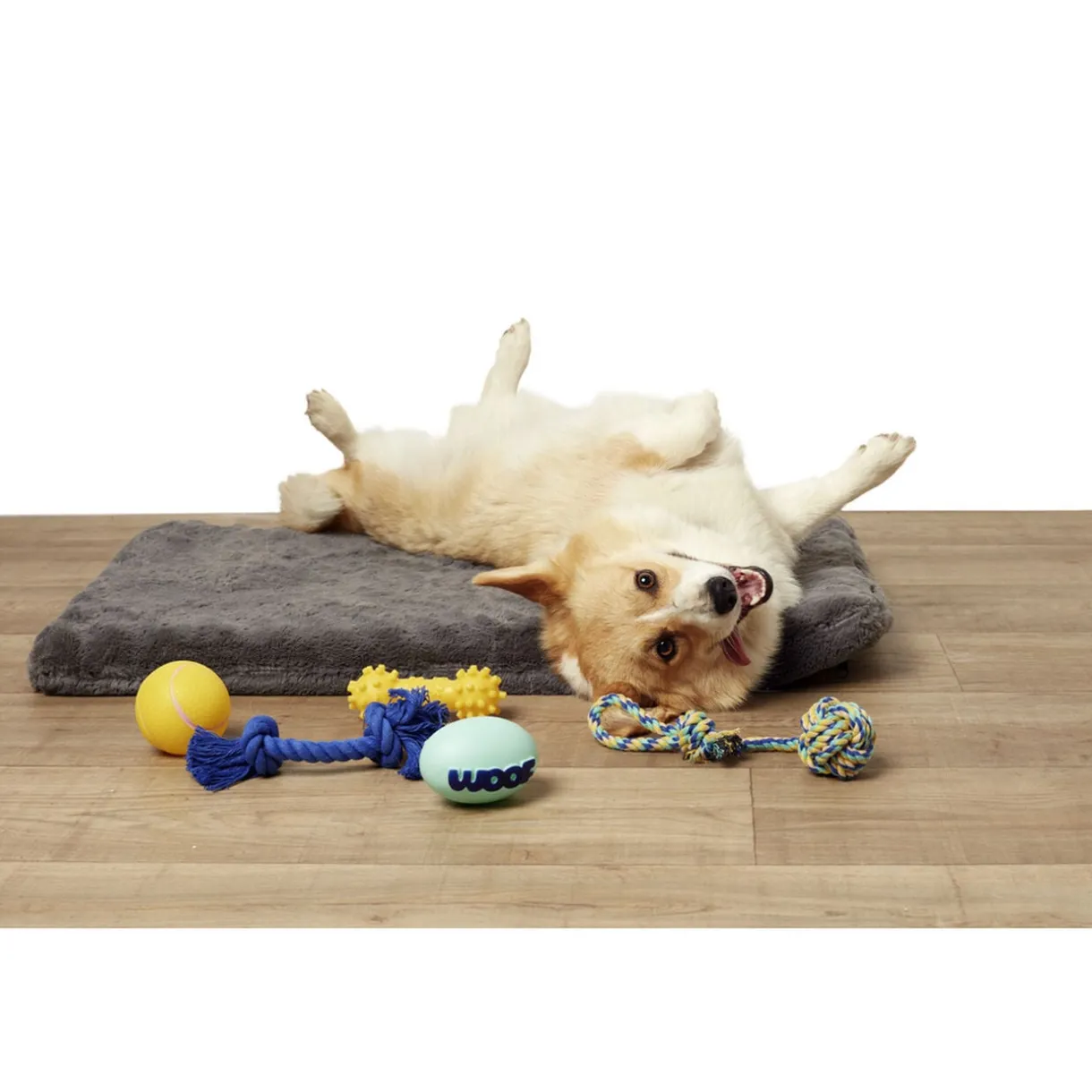 Jouet pour chien x5 < Gifi Hot