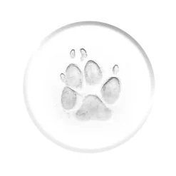 Kit d'empreintes animaux 7 pcs chien ou chat