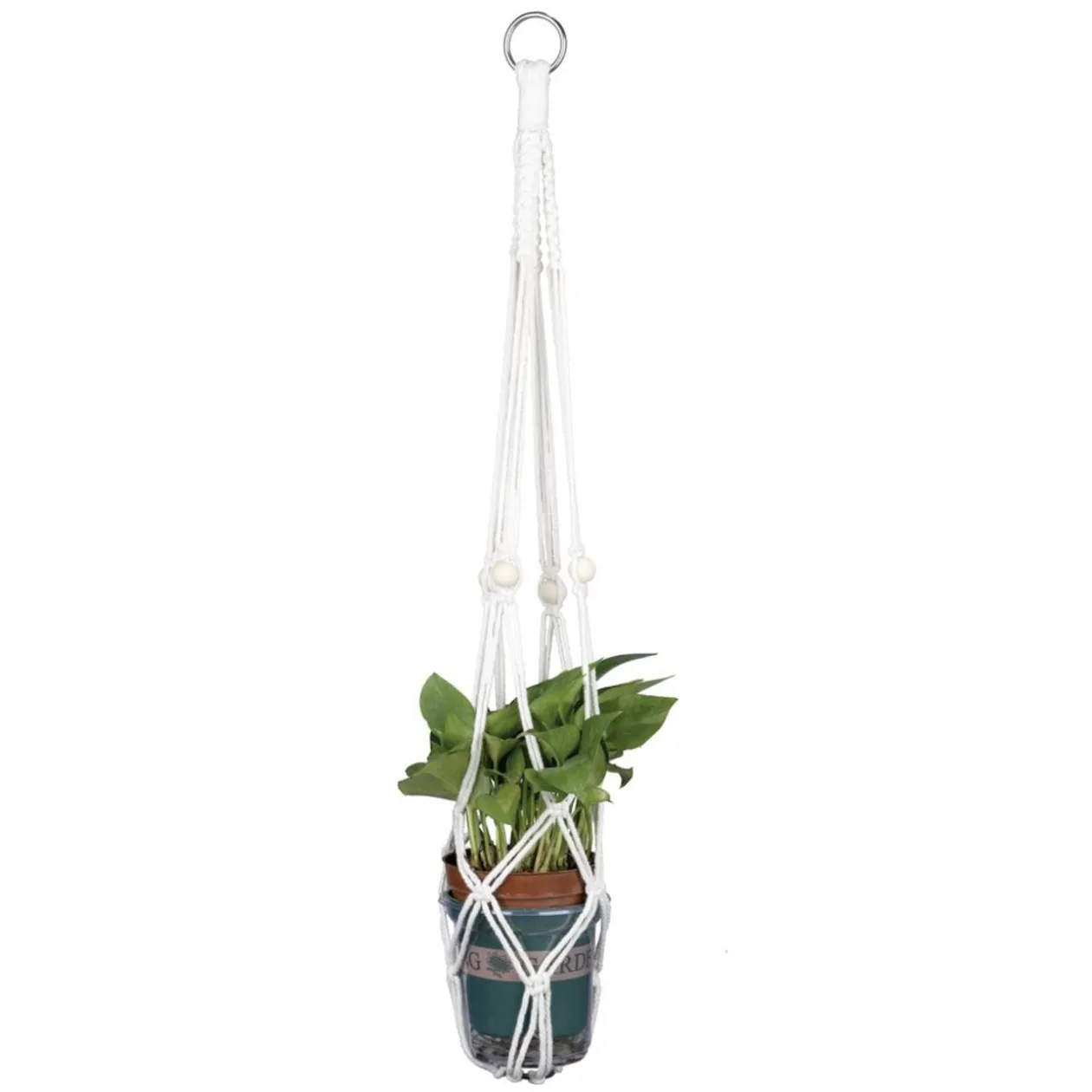 Kit suspension pour plante macramé coton beige à faire soi-même