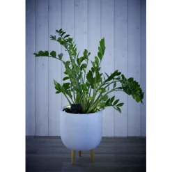 Lampe solaire 12LED spécial pot de fleur 290x5xH14cm