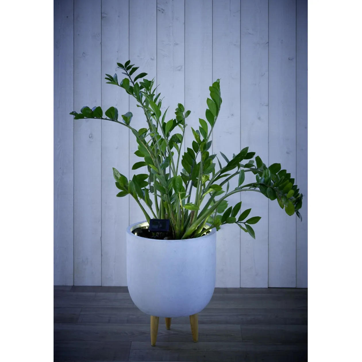 Lampe solaire 12LED spécial pot de fleur 290x5xH14cm