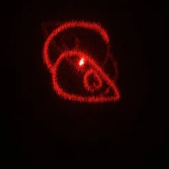 Laser pour chien ou chat avec 5 motifs différents
