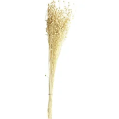 Lin séché naturel beige H60cm