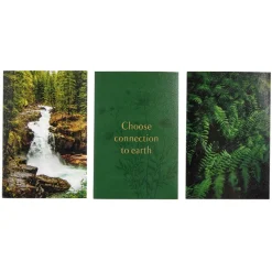Lot de 3 affiches nature papier vert et noir 10x15cm < Gifi Online
