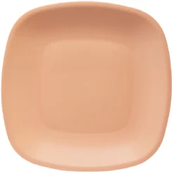 Lot de 3 assiettes colorées en plastique rigide
